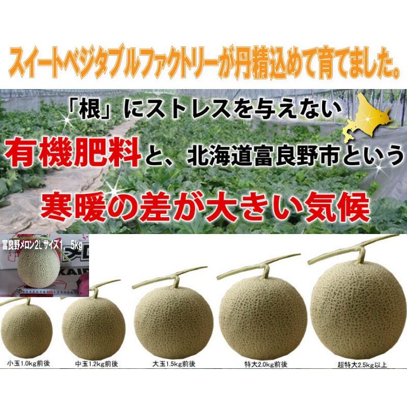 メロン 富良野メロン 訳あり 北海道 富良野産 2玉から4玉 合計4.0kg