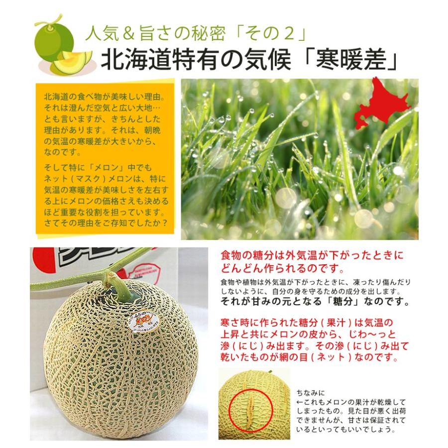 メロン 富良野メロン 訳あり 北海道 富良野産 2玉から4玉 合計4.0kg