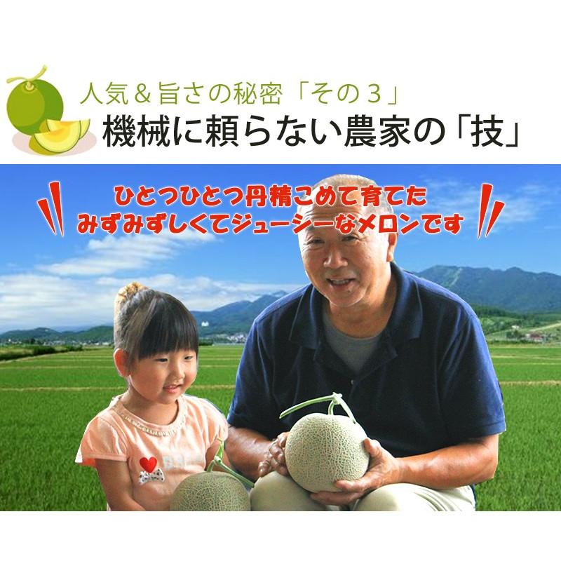 メロン 富良野メロン 訳あり 北海道 富良野産 2玉から4玉 合計4.0kg