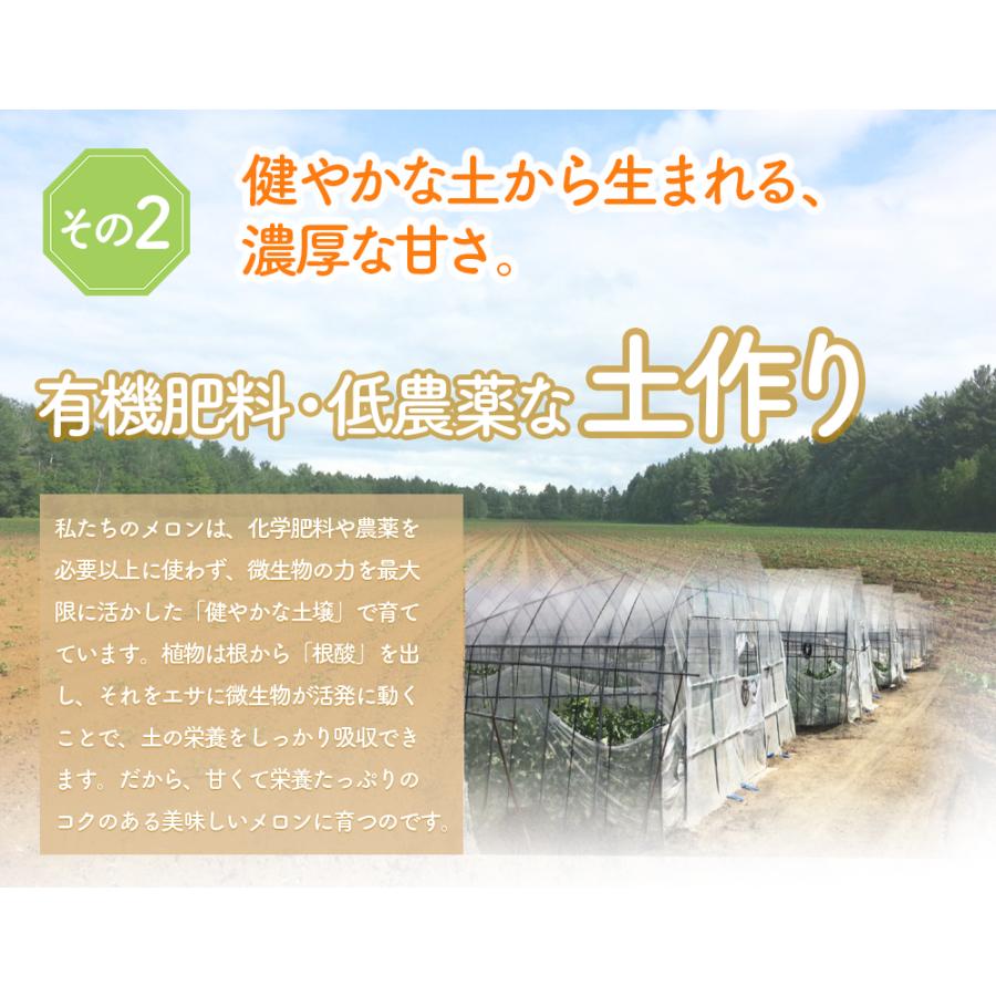 メロン 富良野メロン 北海道産 赤肉 秀品 2Lサイズ 1玉 約1.5kg以上 早