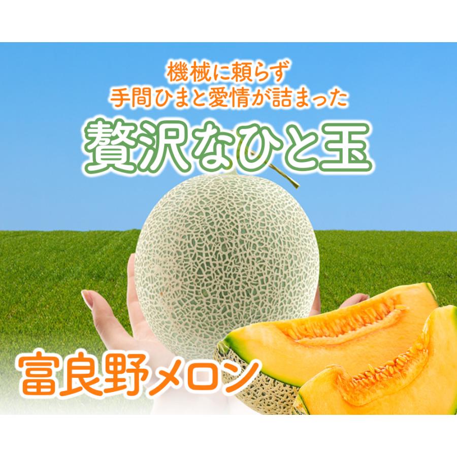 野菜園芸大百科 (4) 第2版 メロン 野菜園芸大百科 (4) | 農山