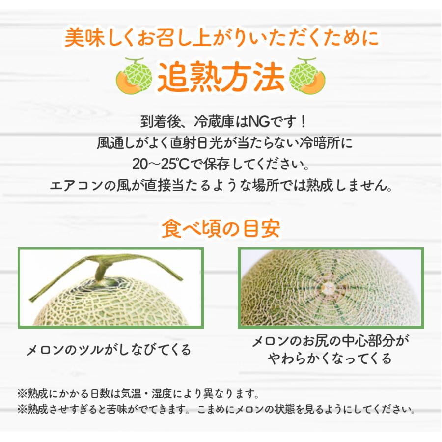 メロン 富良野メロン 北海道産 赤肉 秀品 2Lサイズ 1玉 約1.5kg以上 早