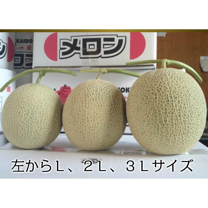 メロン ふらのメロン 北海道富良野産 赤肉メロン 特大 3Lサイズ(2kg