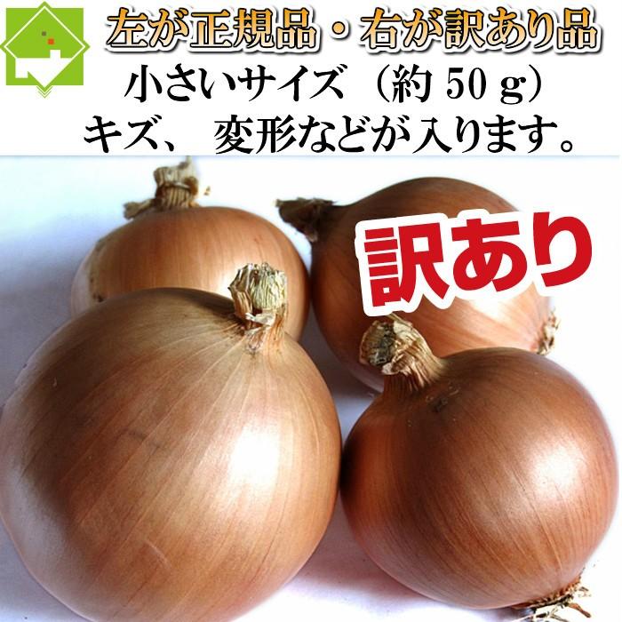 たまねぎ　訳あり　８ｋｇ　送料無料　北海道富良野産　｜sweetvegetable｜03