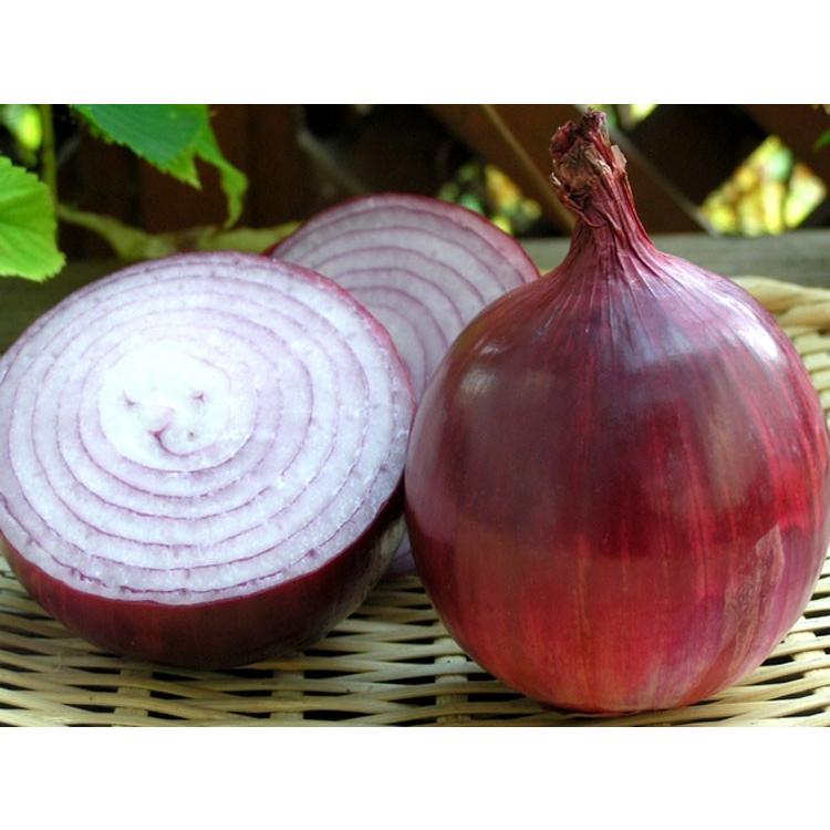 たまねぎ 北海道 アーリーレッド 富良野産 3kg 送料無料 Onionred45 スイートベジタブルファクトリー 通販 Yahoo ショッピング