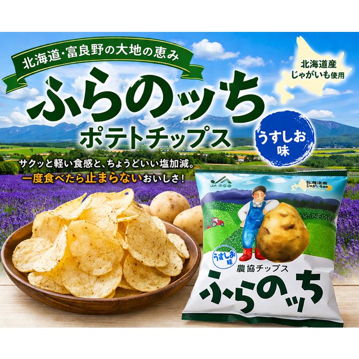 ポテトチップス ご当地 北海道富良野産 ふらのッち うすしお味 55g 12