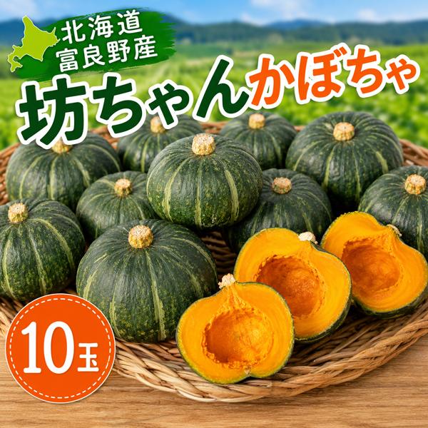 かぼちゃ 北海道 富良野産 坊ちゃんかぼちゃ 10玉 送料無料 ミニ