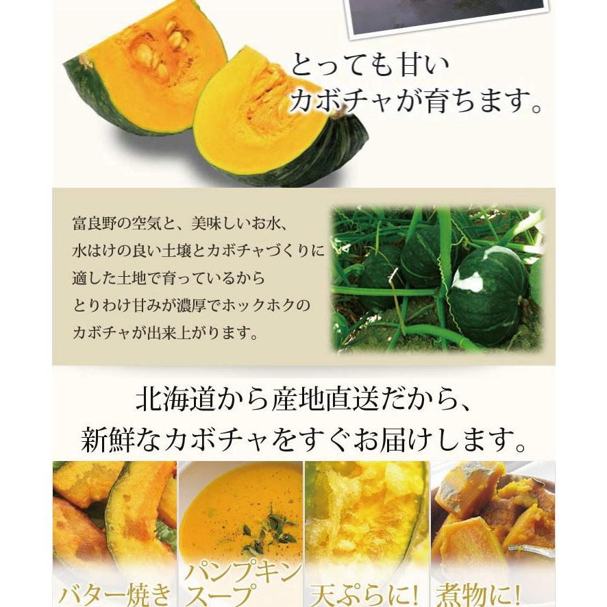 かぼちゃ 北海道 富良野産 ダークホース 5kg 送料無料 別途送料 :pumpkindarkhose5kg:スイートベジタブルファクトリー - 通販 - Yahoo!ショッピング かぼちゃ 北海道 富良野産 ダークホース 5kg 送料無料 別途送料 :pumpkindarkhose5kg:スイートベジタブルファクトリー - 通販 - Yahoo!ショッピング