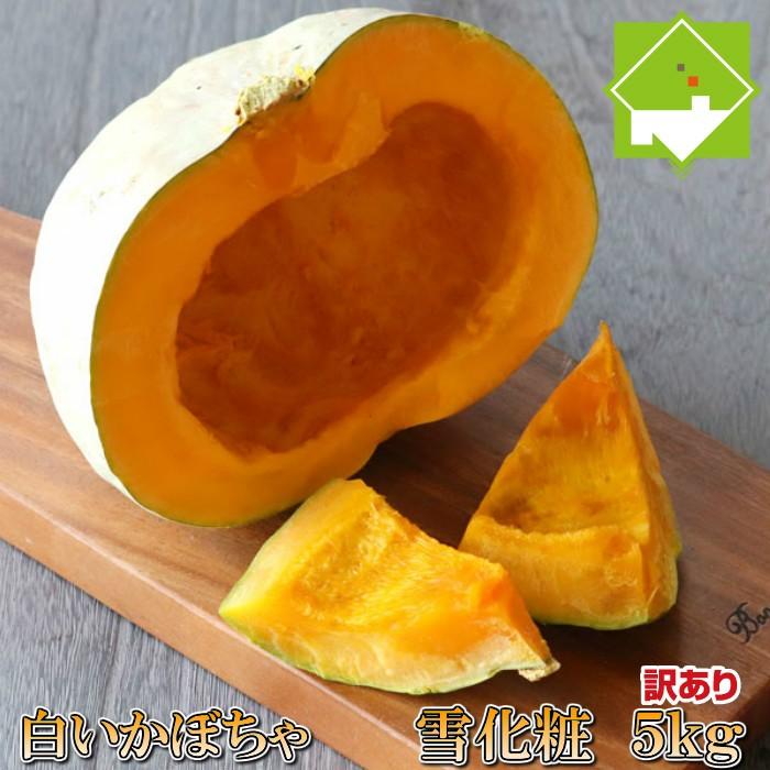 かぼちゃ 送料無料 訳あり 5kg 北海道産 雪化粧 キズ 変色 変形など :pumpkinyukiwake5:スイートベジタブルファクトリー - 通販 - Yahoo!ショッピング かぼちゃ 送料無料 訳あり 5kg 北海道産 雪化粧 キズ 変色 変形など :pumpkinyukiwake5:スイートベジタブルファクトリー - 通販 - Yahoo!ショッピング