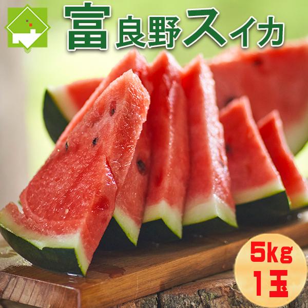 北海道 富良野産 大玉 スイカ 5kg以上 1玉 送料無料 西瓜 すいか