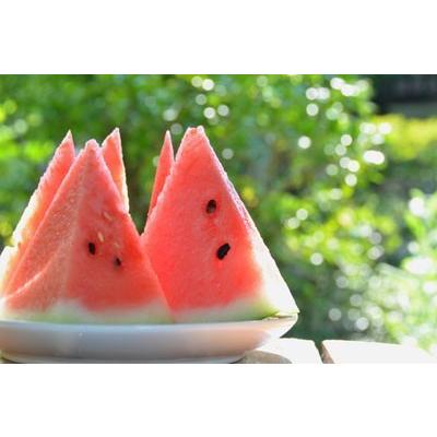 ふらのスイカ 北海道 富良野産 5kg以上 1玉 送料無料 日時指定不可