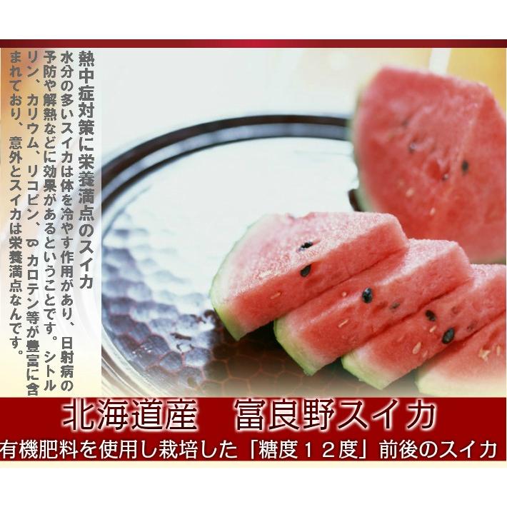 ふらのスイカ 北海道 富良野産 5kg以上 1玉 送料無料 日時