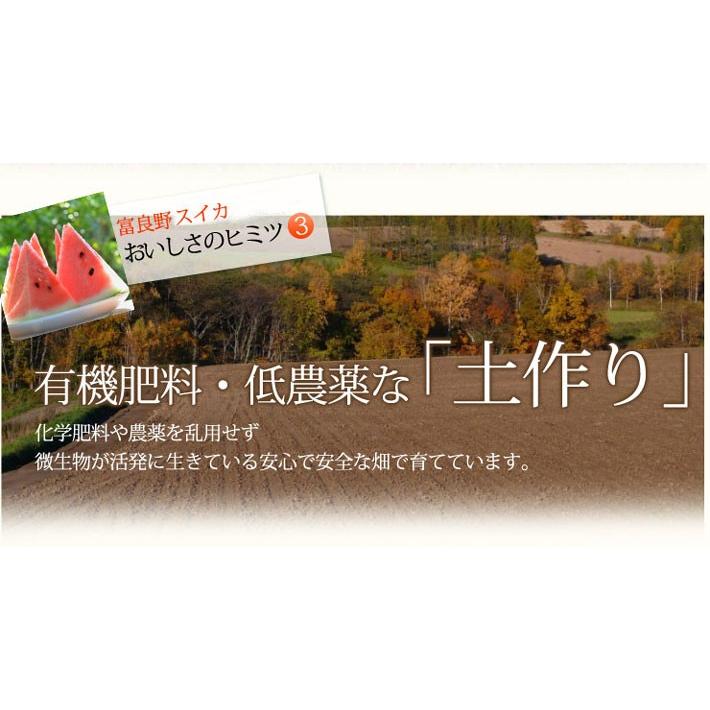 ふらのスイカ 北海道 富良野産 5kg以上 1玉 送料無料 日時