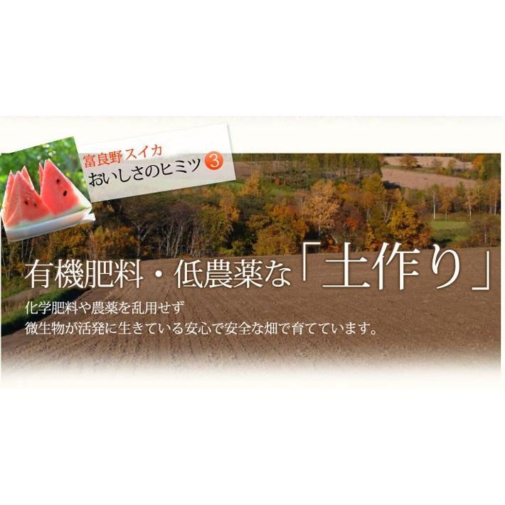 ふらのスイカ 　北海道　富良野産　５ｋｇ以上　１玉　送料無料　日時指定不可｜sweetvegetable｜09