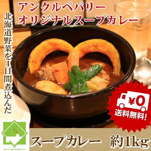 北海道　野菜スープカレー　500ｇ×２パック（２〜４人前）　送料無料 | 
