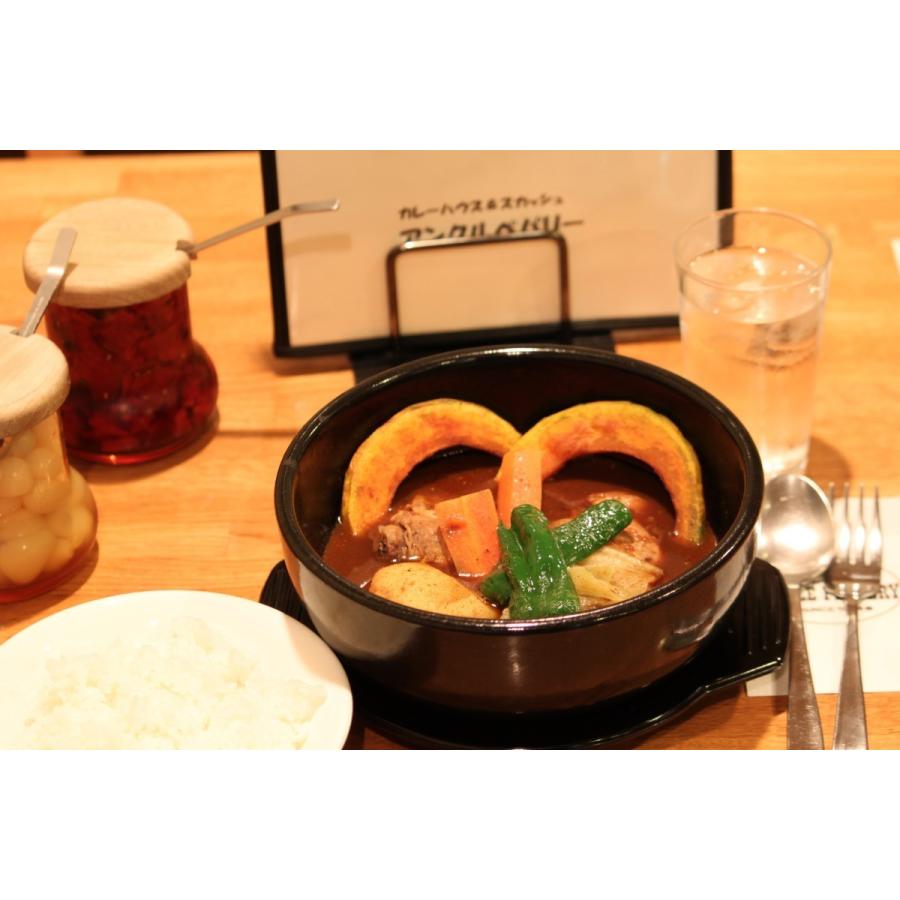 北海道　野菜スープカレー　500ｇ×２パック（２〜４人前）　送料無料 |  | 03