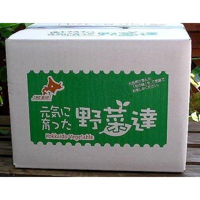 じゃがいも 北あかり 訳あり 8kg 北海道富良野産 送料無料
