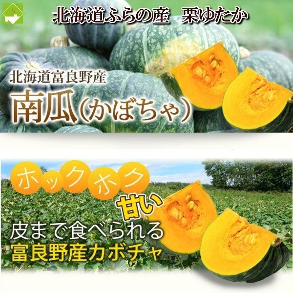 かぼちゃ 北海道ふらの産 訳あり 栗ゆたか 10kg 送料無料 キズ 変色 変形 Wakearikuriyutaka10kg スイートベジタブルファクトリー 通販 Yahoo ショッピング