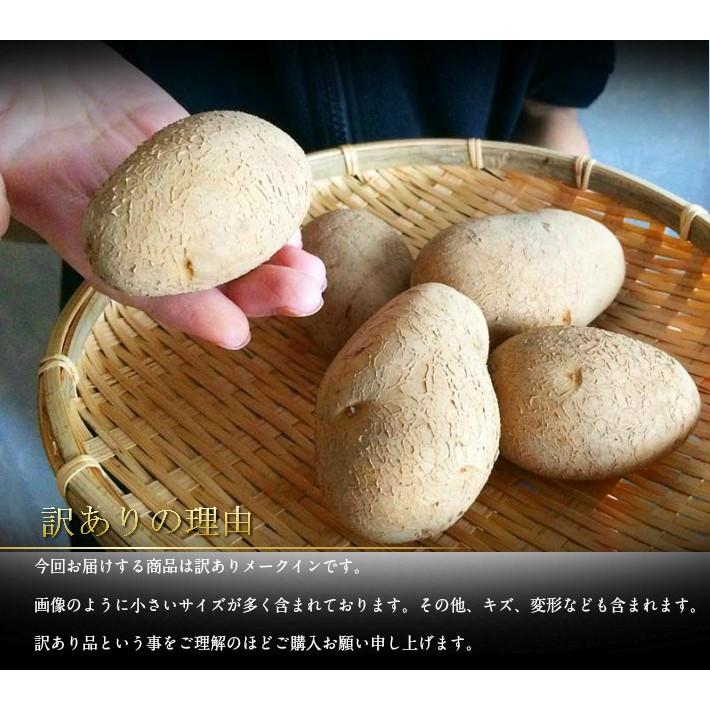 メーク　ジャガイモ　訳あり　04 Amazon.co.jp: 訳あり じゃがいも じゃがいも メークイン ポテト