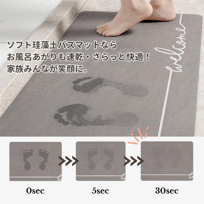 FF14 珪藻土バスマット 3種セット 楽天市場】珪藻土バスマット PORISH プレミアム珪藻土バスマット