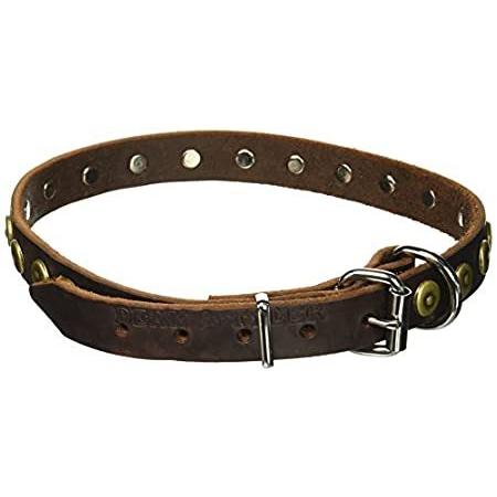 評価 ディーン タイラー 革製犬用カラー ヨーロッパ製の高品質革素材使用 ｌサイズ首の周囲約58 5cm 68 5cm幅約2 5cm ブラウン 真鍮製 セール時期 Murad Com Jo