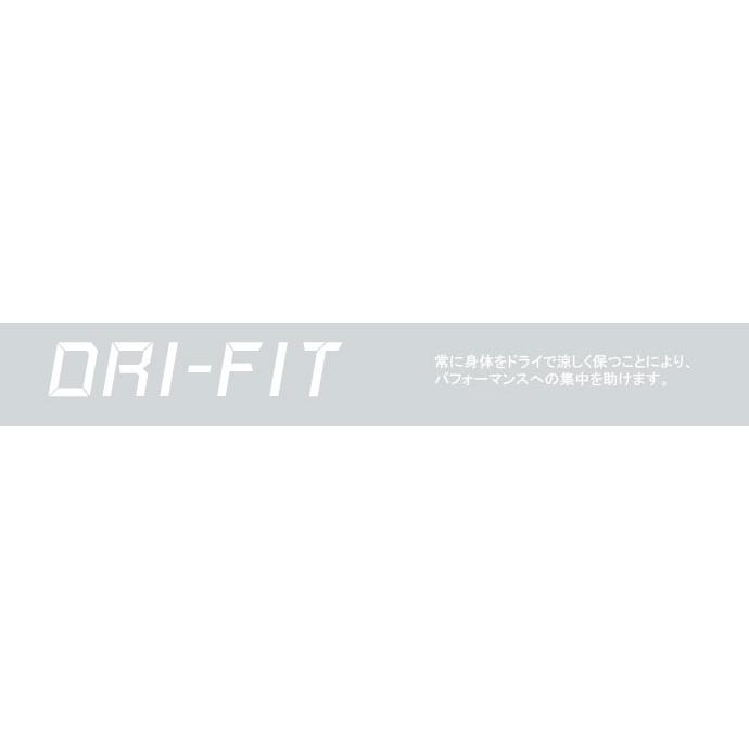 NIKE（ナイキ） 半袖Tシャツ メンズ AR5969 ドライフィット DFCT 2YEAR SWO 半袖 Tシャツ 1907 トップス ネコ ...
