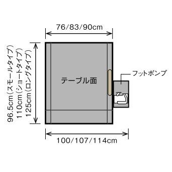 車椅子用昇降機 リーチ ロングタイプ モルテン｜swinnng｜06