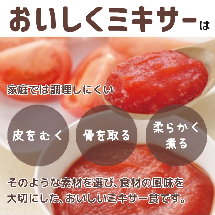 ホリカフーズ 介護食 レトルト ミキサー食 おいしくミキサー ペースト