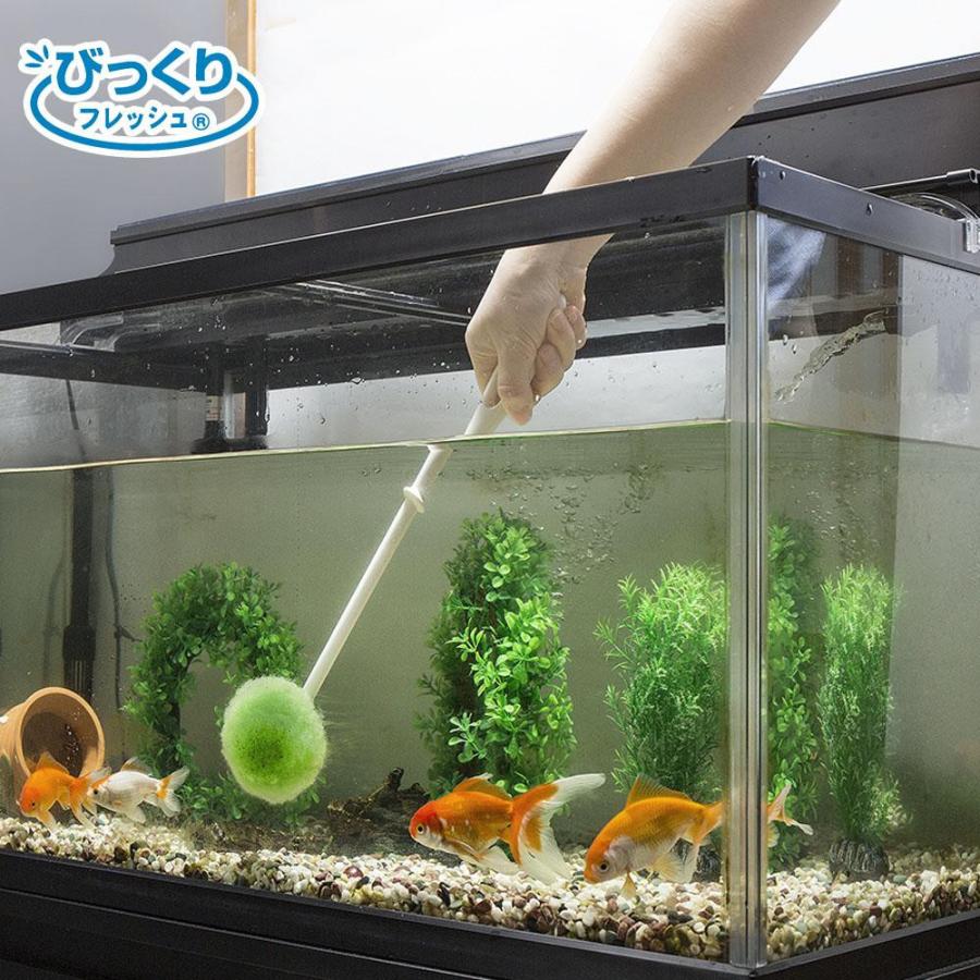 サンコー びっくりフレッシュ 水槽クリーナー Gr グリーン Bh 37 おしゃれ 入荷中 ペットグッズ ペット用品 使いやすい 水槽掃除 長持ち 便利