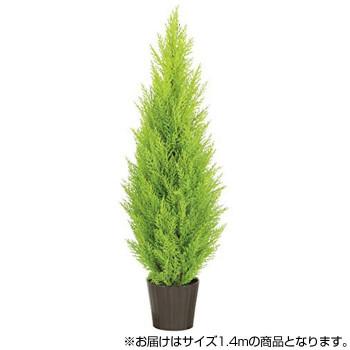 光の楽園 長持ち 人工観葉植物 ゴールドクレスト1 4m 屋外使用可 394e380 68