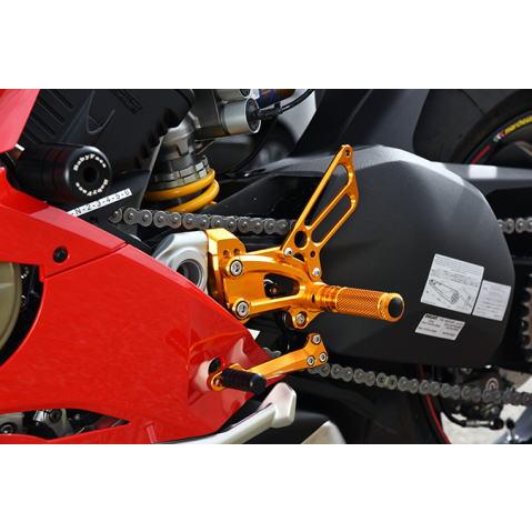 パニガーレV4R、パニガーレV4 18〜24　パフォーマンスステップキット　３色あります！　BABYFACE(ベビーフェイス)　 | 