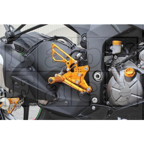 ZX-6R(ZX6R) 13〜18　パフォーマンスステップキット　3色あります！　ベビーフェイス(BABYFACE)　 |  | 01