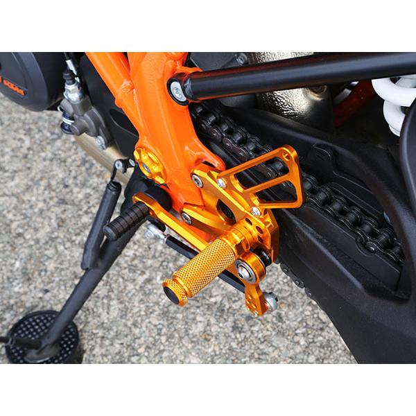 ベビーフェイス　1290 SUPER DUKE GT ('16-19)用　バックステップキット　3色あり！ |  | 01