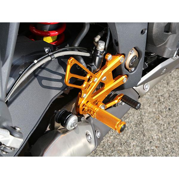 ベビーフェイス  ストリートトリプル/R 13〜16　バックステップ | 