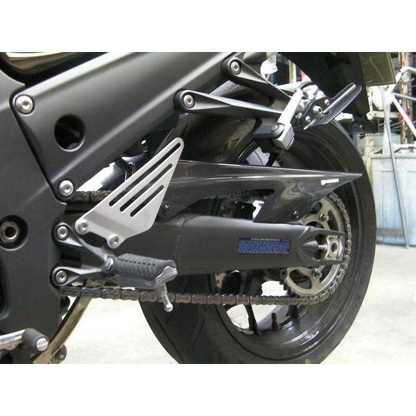 ZZR1400/ZX-14R　カーボンチェーンカバー　ストライカー(STRIKER) | 