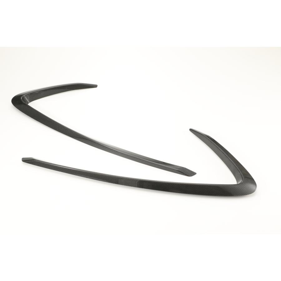 Hayabusa 隼 (3型)'22   エアロデザイン“SAD” カーボンサイドカウルガーニッシュ   STRIKER(ストライカー)　 |  | 01