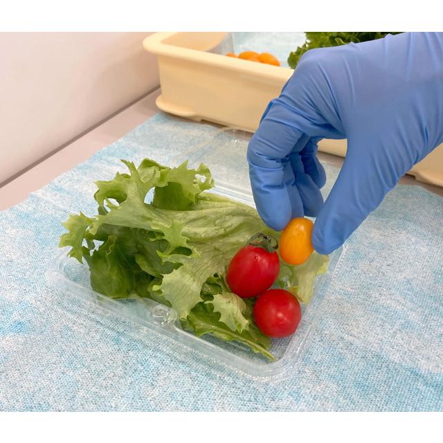 日本製紙クレシア WYPALL 60660 ワイプオール X50フードエリアブルー 4つ折り |  | 02