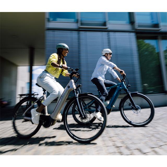 SCHWALBE シュワルベ モーションビッグアップル 29×2.35 |  | 05