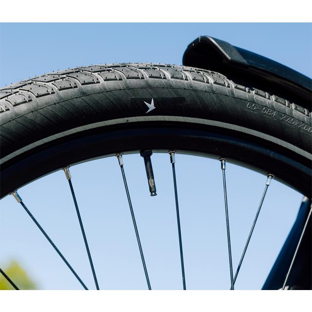 SCHWALBE シュワルベ モーションビッグアップル 12×2.00 |  | 03