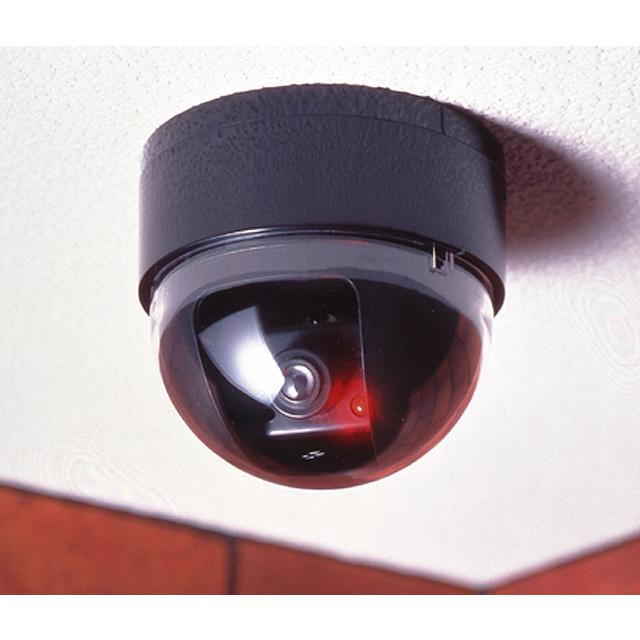 旭電機化成 スマイルキッズ ADC-204 ドーム型防犯ダミーカメラ | 旭電機化成