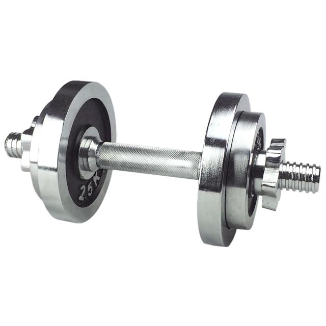 マルシン産業 NORTHWAY SPORTS NST-010 クロームダンベル 10kg | 