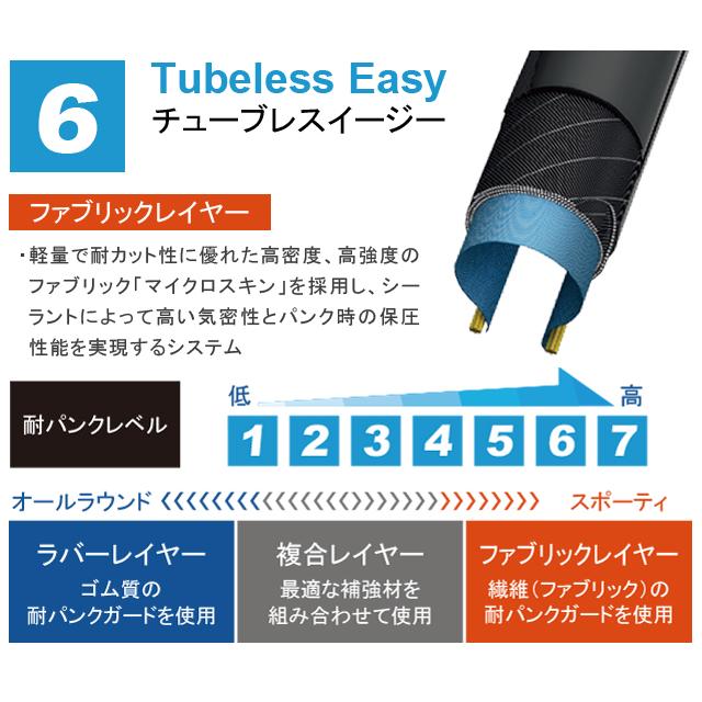 SCHWALBE シュワルベ アイススパイカープロ 29×2.25 ケブラービード re-502 | SCHWALBE | 03