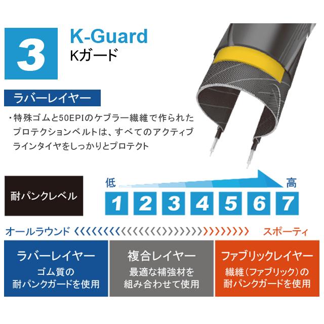 SCHWALBE シュワルベ ウィンター 29×1.60（700×40C） | SCHWALBE | 03