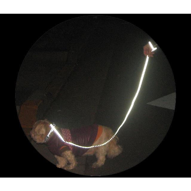 ヨシオ K1-140 リードほたるくん「輝き」 re-502 |  | 01