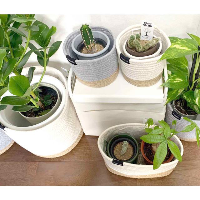 東洋ケース PP-PCL プランターカバーL-ロープ re-502 |  | 02