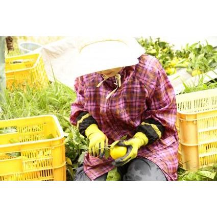 ３本セット　Herbal Switch Mist ON&OFF 3本セット Herbal Switch Mist ON&OFF Switch Mist/ON | NeRoLi