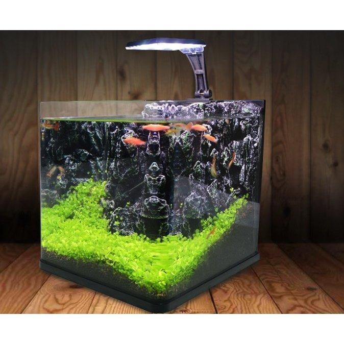 レイアウト ショップわくわくのレイアウト 金魚の水槽セット ミニ家庭用 水族館 水槽 魚飼育 装飾 Cwsp 016ならショッピング ランキングや口コミも豊富なネット通販 更にお得なpaypay残高も スマホアプリも充実で毎日どこからでも気になる商品をその場でお求めいただけ