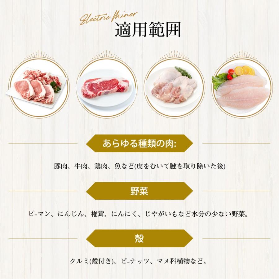 電動ミンサー 電動ひき肉器 304ステンレス 食用級 電動ミンチ機 電動ミンサー 電動ひき肉器 304ステンレス 食用級 電動ミンチ機