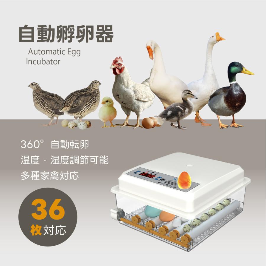 Kurflo自動孵卵器 全自動孵化 インキュベーター 鳥類専用ふ卵器 最大36