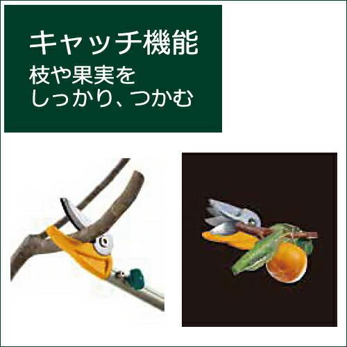 高枝切鋏シリーズ すご腕プッシュカット 3段式  枝きり ガーデニング 園芸用品_5